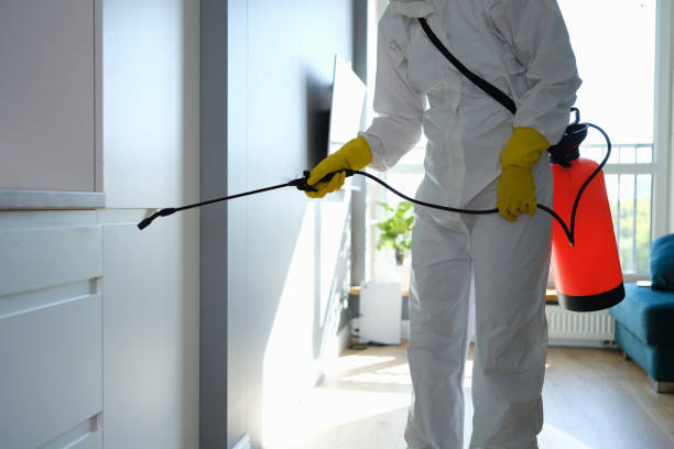 Best Post-Construction Mold Inspection  in New Beaver, PA