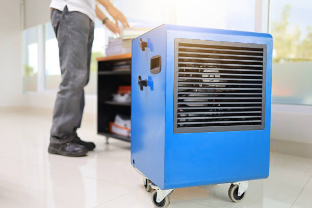 Best Airborne Mold Testing  in New Beaver, PA